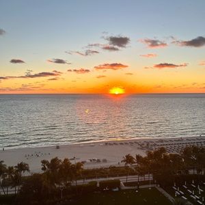 Meet your Posher, Yodi